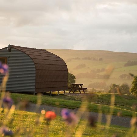Wild Northumberland Glamping Villa Hexham Bagian luar foto