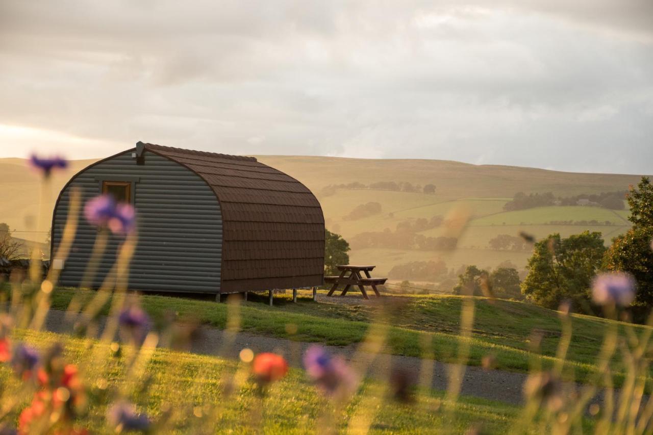 Wild Northumberland Glamping Villa Hexham Bagian luar foto