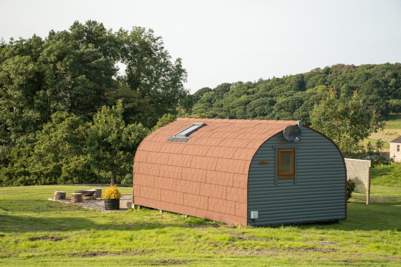 Wild Northumberland Glamping Villa Hexham Bagian luar foto