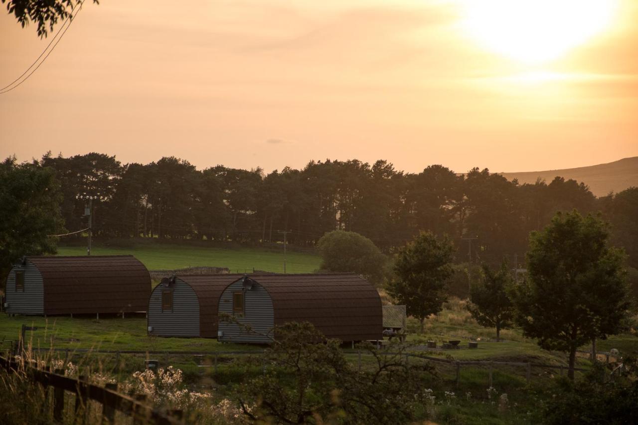 Wild Northumberland Glamping Villa Hexham Bagian luar foto