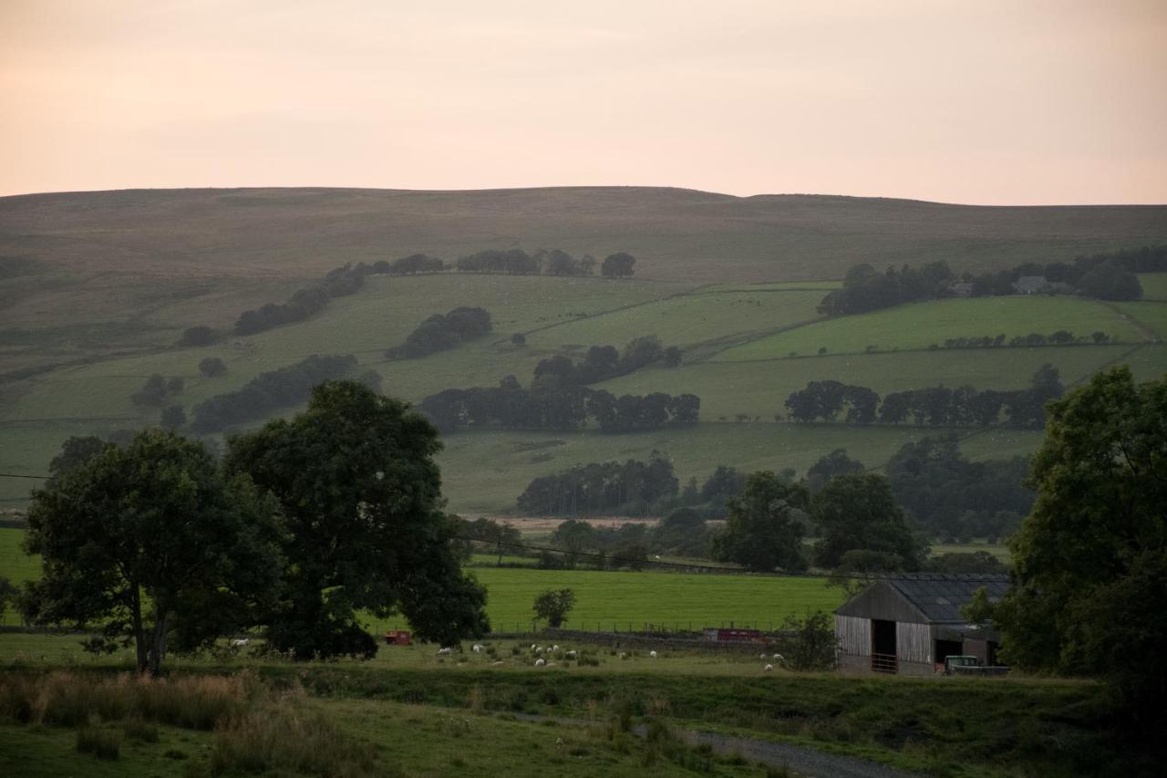 Wild Northumberland Glamping Villa Hexham Bagian luar foto